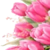 🌸