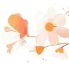 🌺
