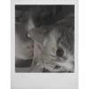 🐈