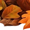 🍂