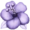 🌺