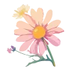 🌺
