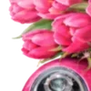 🌸