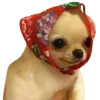 🐶