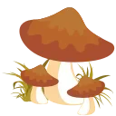 🍄