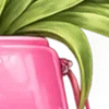 🌸