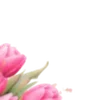 🌸