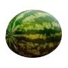 🍉
