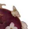 🍎