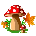 🍁