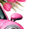 🌸