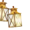 🌟