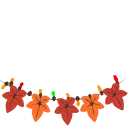 🍁