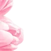 🌸