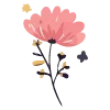 🌺