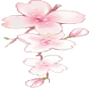 🌸