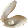 🐚