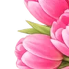🌸