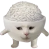 🫤