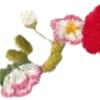 🍎