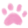 🐾