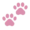 🐾