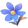 🌺
