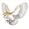 🦉