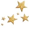 ✨
