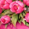 🌸