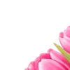🌸