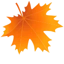 🍁