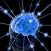 🧠