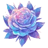 🌺