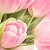 🌸