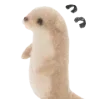🦘