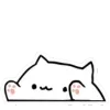 🐱
