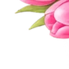 🌸