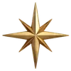 🌟