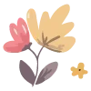 🌺