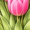 🌸