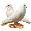 🕊