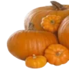 🎃