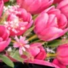 🌸