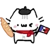 🇫🇷