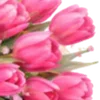 🌸