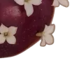 🍎