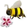 🌸