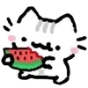 🍉