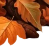 🍂